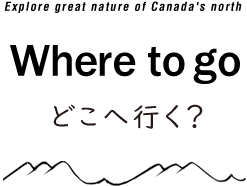 Where to go どこへ行く？